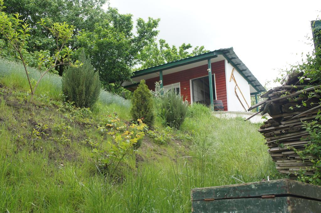 Casa Bella Turda Hotel Eksteriør billede